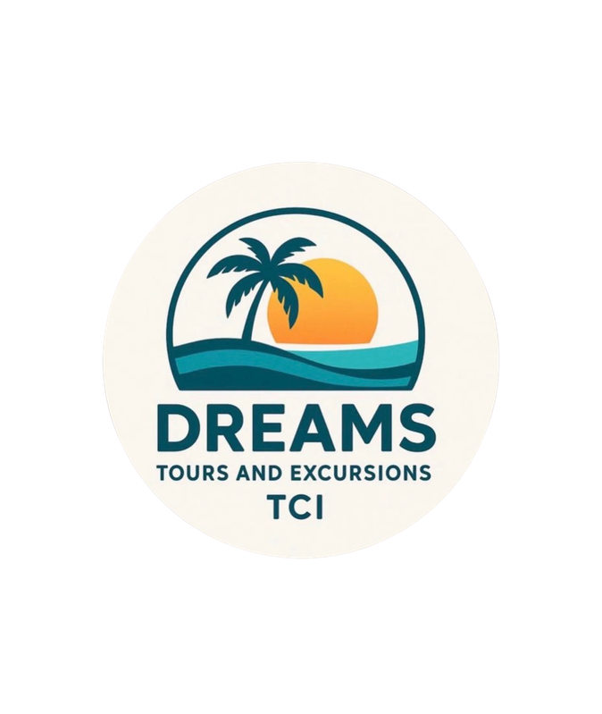 Dreams Tours & Excursions logo